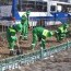 Нийслэлийн цэцэрлэгчдийг АНУ-д дадлагажуулахаар боллоо