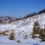 Ноён уулыг улсын тусгай хамгаалалтад авна