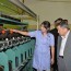 УИХ-ын дарга үйлдвэрүүдийн үйл ажиллагаатай танилцав