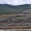 Орхон голыг аврахаар алтны компаниудын үйл ажиллагааг зогсоолоо