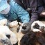 “Тогтоолын хавсралтыг шинэчлэн батлах тухай” УИХ-ын тогтоолын төслийг өргөн барив