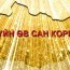 “Ирээдүйн өв сан корпораци” ХХК байгуулав
