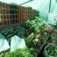 17 байршилд хүнсний ногооны үзэсгэлэн худалдаа гарлаа