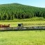 Газрын тухай хуульд бэлчээрийг зүй зохистой ашиглах, хамгаалах тухай бүлэг оруулахаар өргөн мэдүүллээ