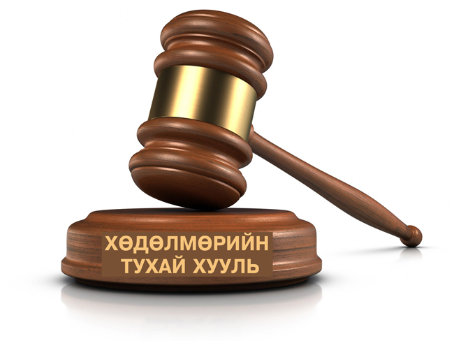 Хөдөлмөрийн тухай хуулийг хэлэлцэхийг дэмжлээ