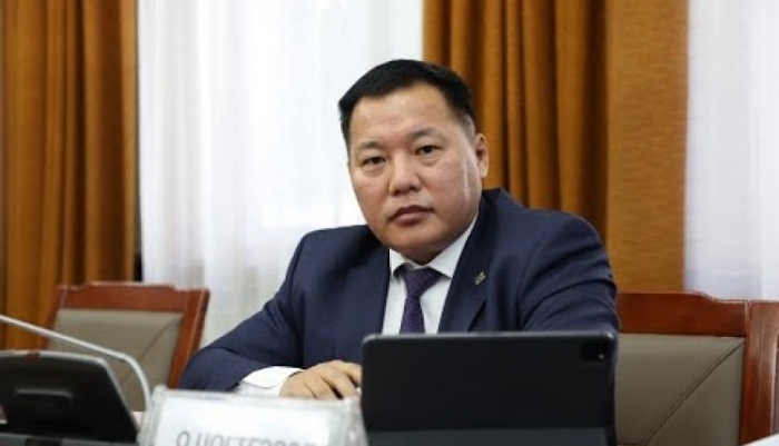 О.Цогтгэрэл: Гишүүдийн оролцоог хангасан нам болгоно
