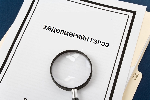 Хөдөлмөрийн харилцааны шинэ хэлбэрүүдийг зохицуулсан хууль батлагдлаа