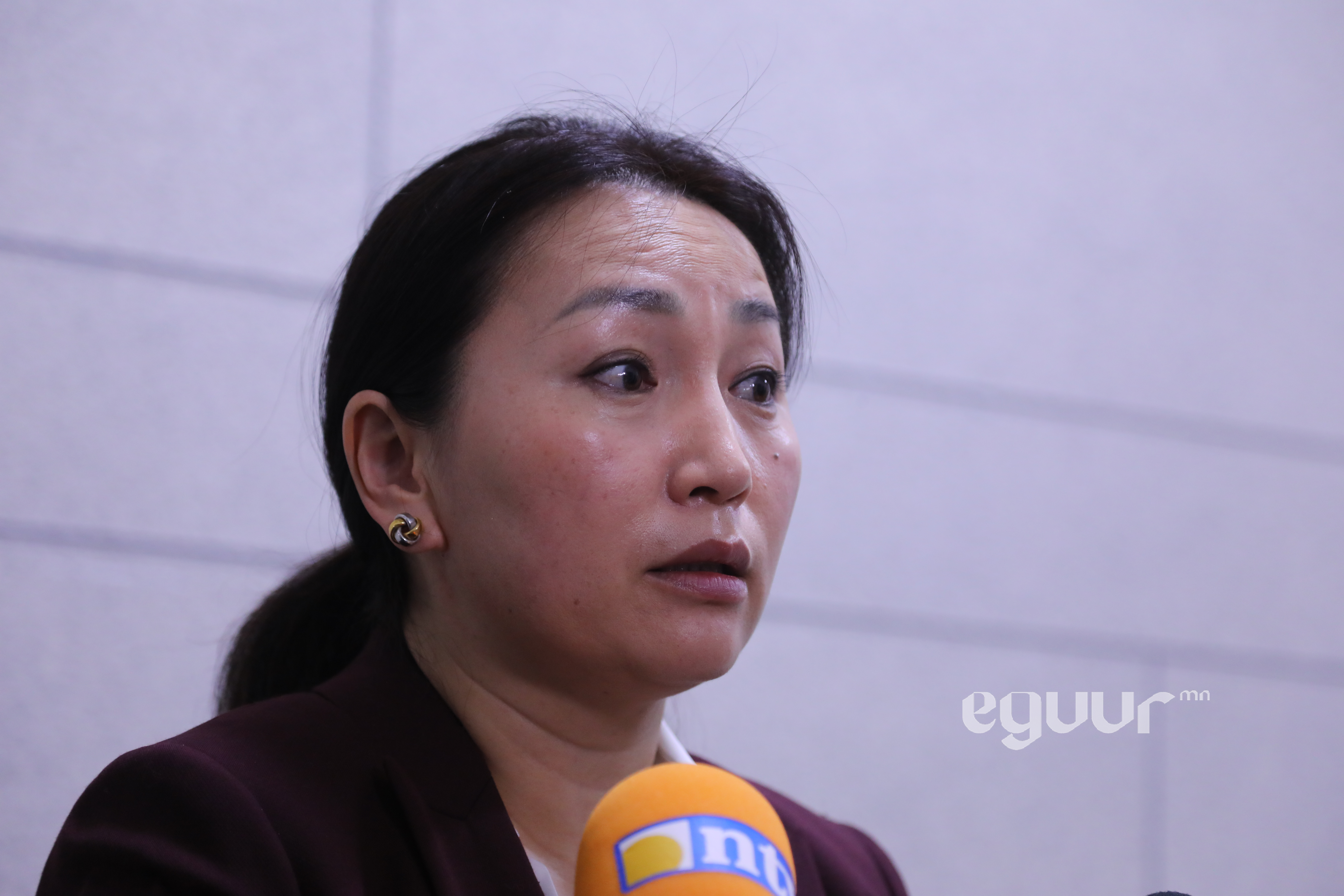 Х.Булгантуяа: Нийгмийн даатгалын систем төрийн бусад системүүдтэй уялдаа холбоо муутай байна